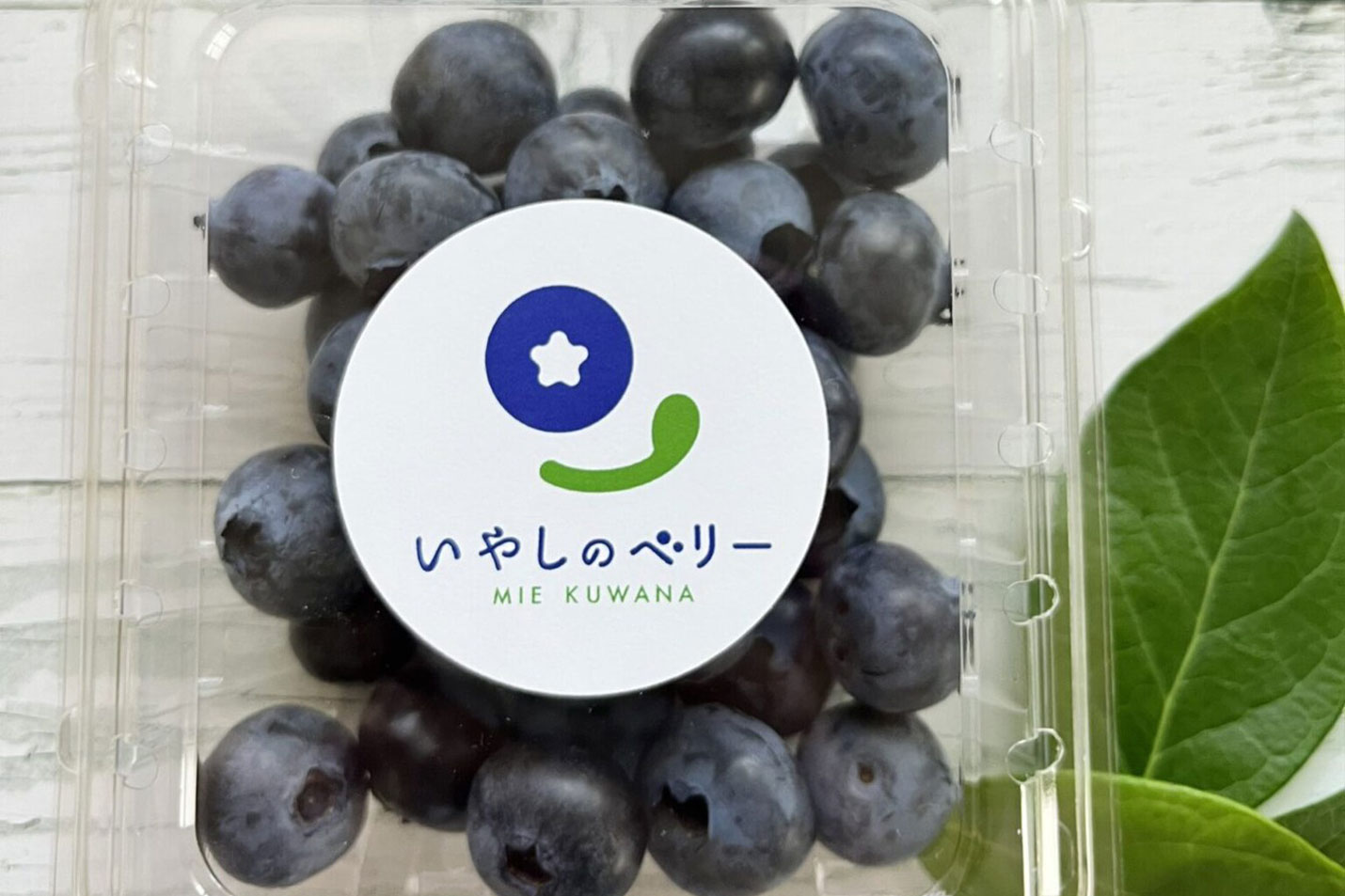 いやしのベリー[ブルーベリー狩り体験　準備中　]写真２